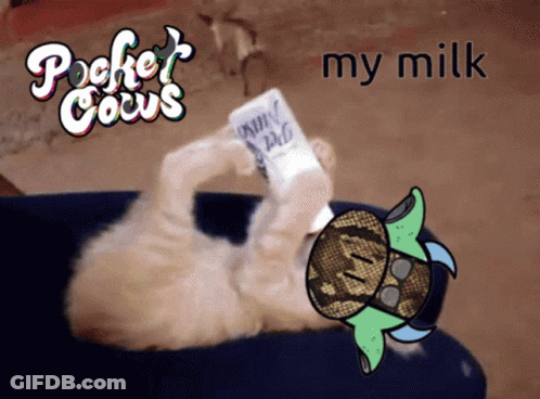 Cat Holding Milk Carton Pocket Cocus GIF