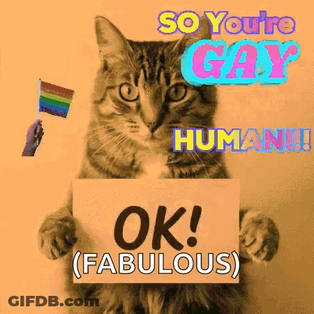 Cat Holding OK Sign GIF