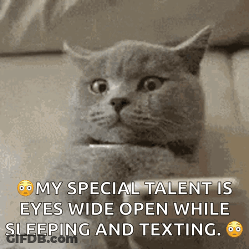 Cat Holding Phone Saying My Special Talent Eyes Wide Open Sleeping Texting GIF