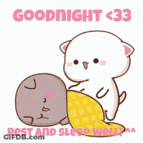Cat Holding Pillow Over Sleeping Cat Goodnight <33 Rest And Sleep Well GIF