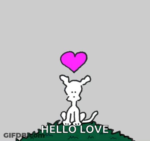 Cat Holding Pink Heart Saying Hello Love GIF
