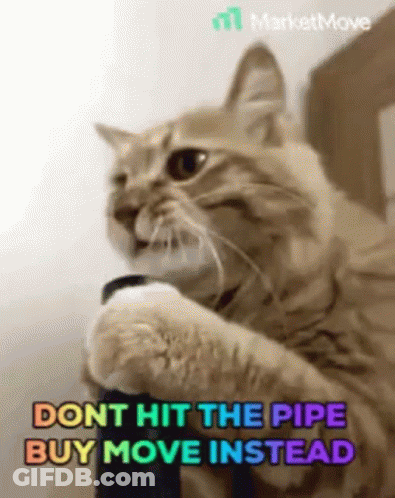 Cat Holding Pipe Dont Hit The Pipe Buy Move Instead GIF