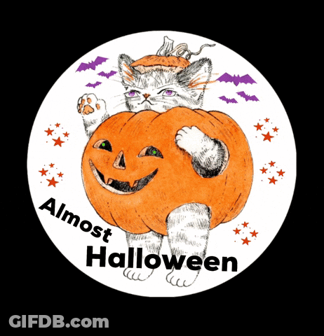 Cat Holding Pumpkin Saying Almost Halloween GIF