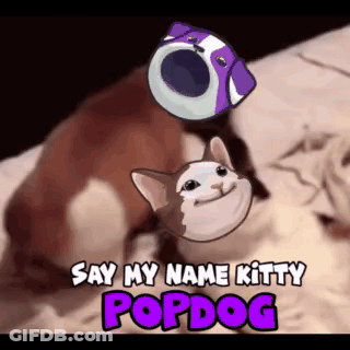 Cat Holding Purple Object While Dog Looks On GIF