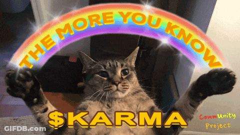 Cat Holding Rainbow The More You Know $Karma GIF