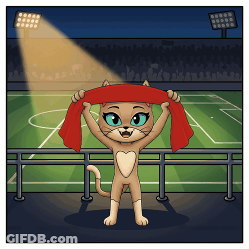 Cat Holding Red Scarf In Stadium GIF