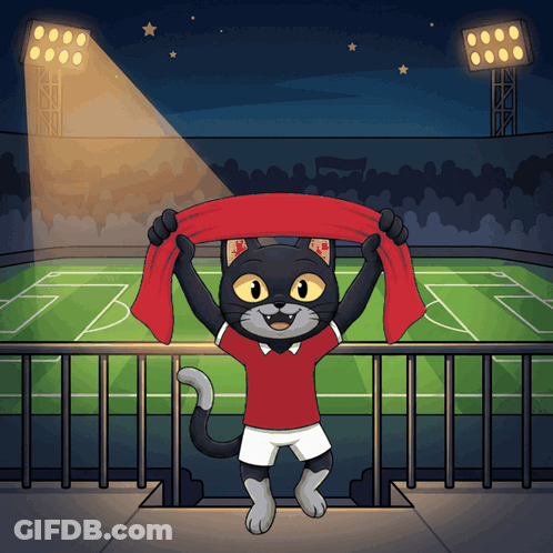 Cat Holding Red Scarf In Stadium GIF