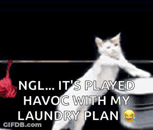 Cat Holding Shirt Saying Ngl It's Played Havoc With My Laundry Plan GIF
