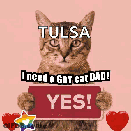 Cat Holding Sign Saying I Need A Gay Cat Dad GIF