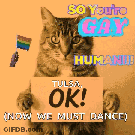Cat Holding Sign Saying OK Tulsa GIF