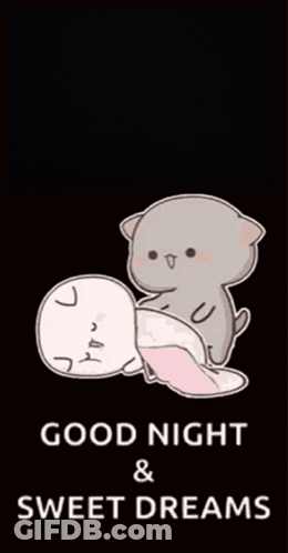 Cat Holding Sleeping Cat Good Night GIF