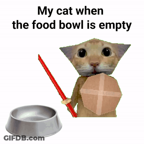 Cat Holding Sword And Shield Next To Food Bowl GIF