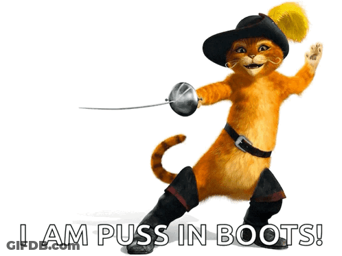Cat Holding Sword Puss In Boots GIF