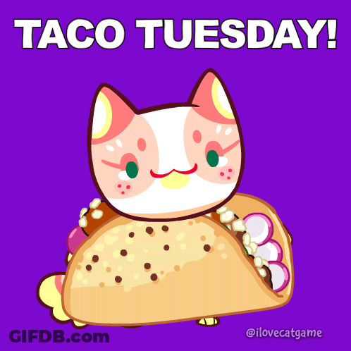 Cat Holding Taco Saying Taco Tuesday GIF