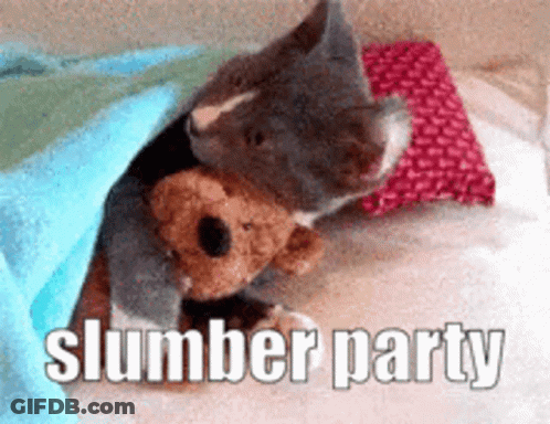 Cat Holding Teddy Bear Under Blanket GIF