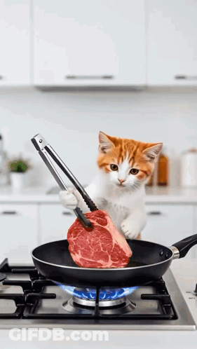 Cat Holding Tongs Over Meat GIF