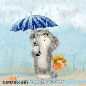 Cat Holding Umbrella And Leaves GIF