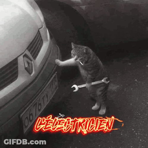 Cat Holding Wrench Beside Car L' Electricien GIF