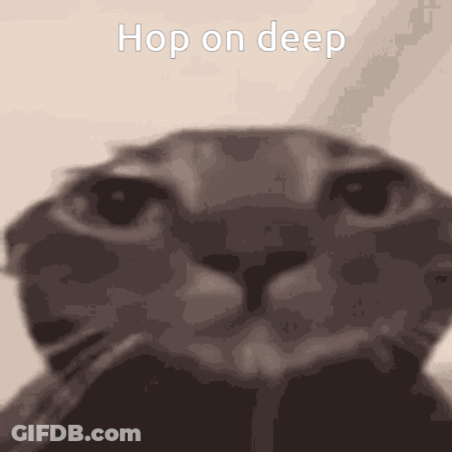 Cat Hop On Deep GIF