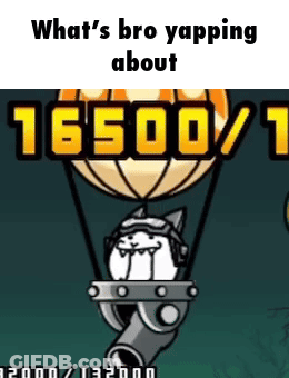 Cat Hot Air Balloon What's Bro Yapping About GIF