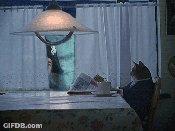 Cat House Funny Russell Crowe GIF