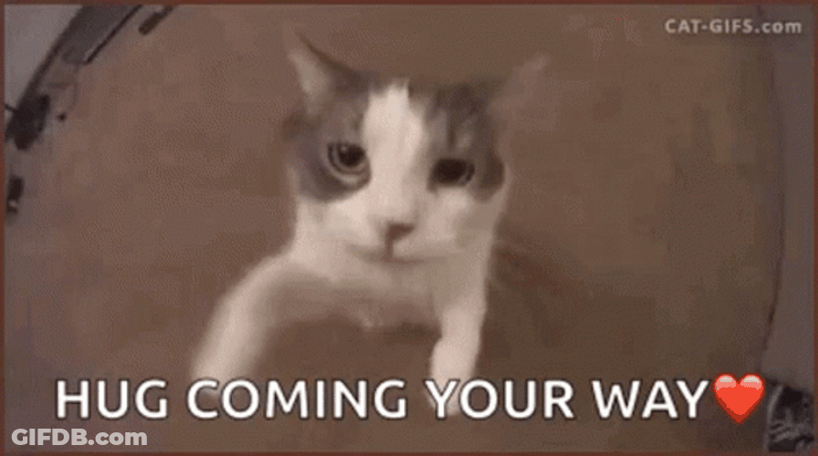 Cat Hug Coming Your Way Kiss GIF