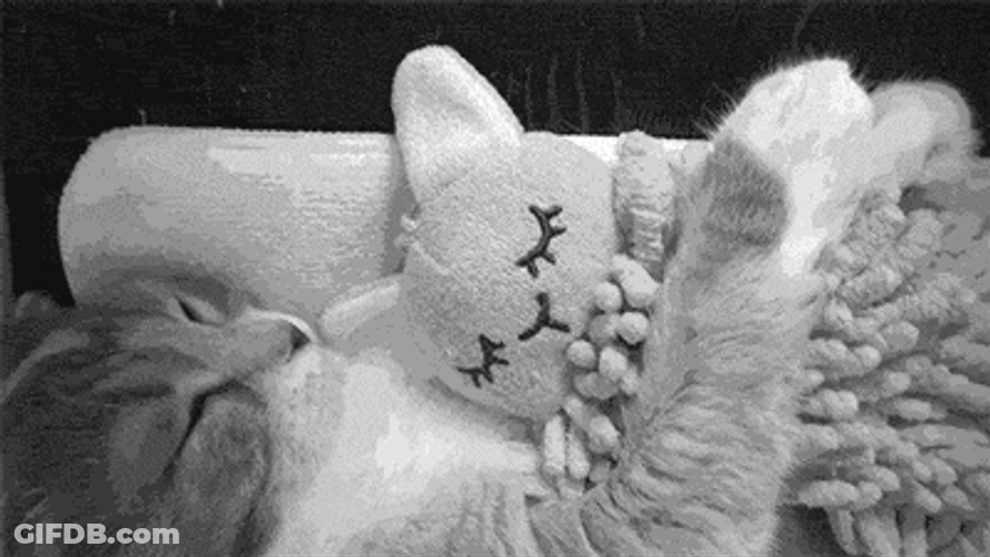 Cat Hug Hugging Cuddling Kitty Doll GIF