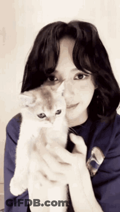 Cat Hug Lalisa Manoban Blackpink Kiss GIF