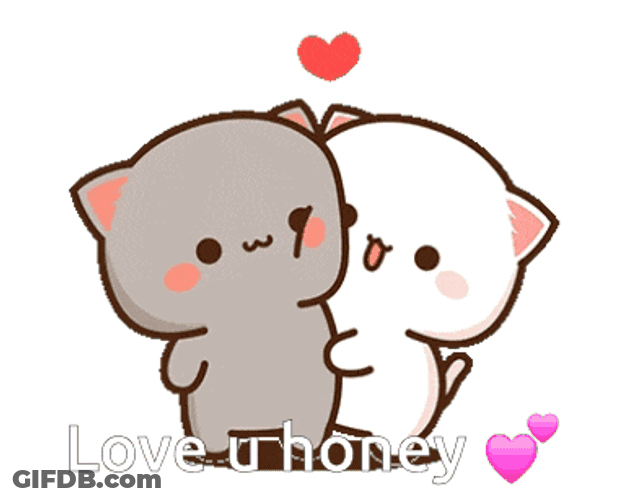 Cat Hug Love GIF