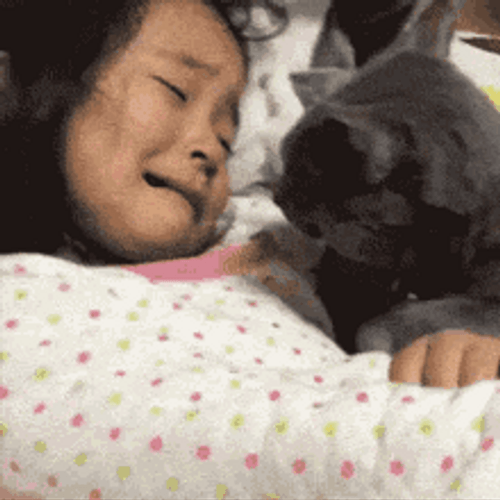 Cat Hug Please Don't Cry Kiss GIF
