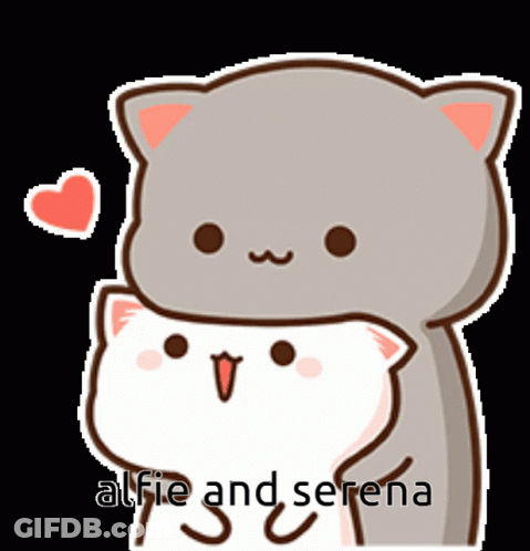 Cat Hugging Another Cat Alfie And Serena GIF