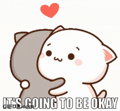 Cat Hugging Another Cat It's Going To Be Okay GIF