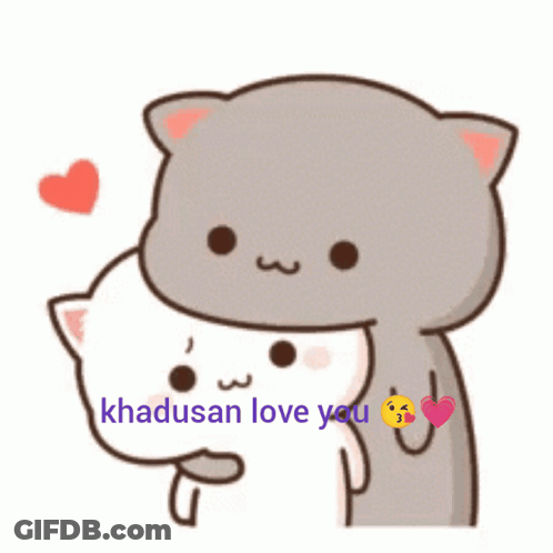 Cat Hugging Another Cat Khadosan Love You GIF