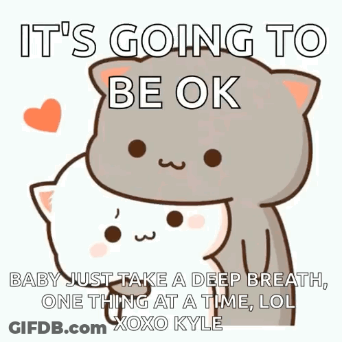 Cat Hugging Another Cat Saying It's Going To Be Ok GIF