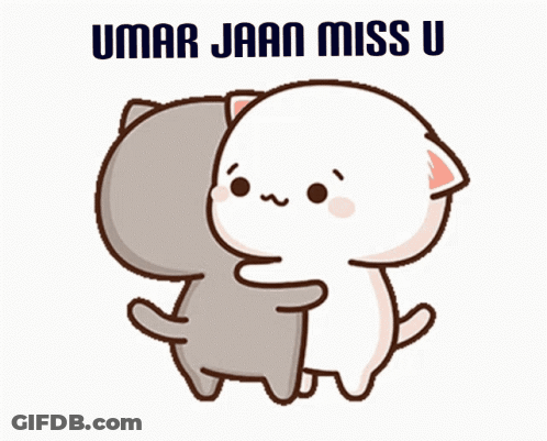 Cat Hugging Another Cat Umar Jaan Miss U GIF