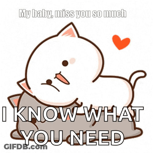 Cat Hugging Another Cat With My Baby Miss You So Much I Know What You Need GIF