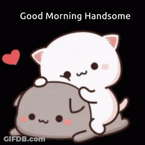 Cat Hugging Another Good Morning GIF