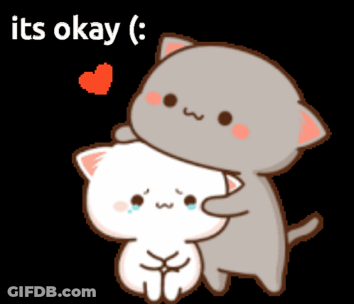 Cat Hugging Another Saying Its Okay GIF