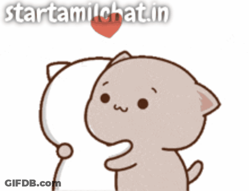 Cat Hugging Another With Heart Startamilkchat.in GIF