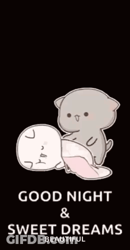 Cat Hugging Sleeping Cat Good Night GIF