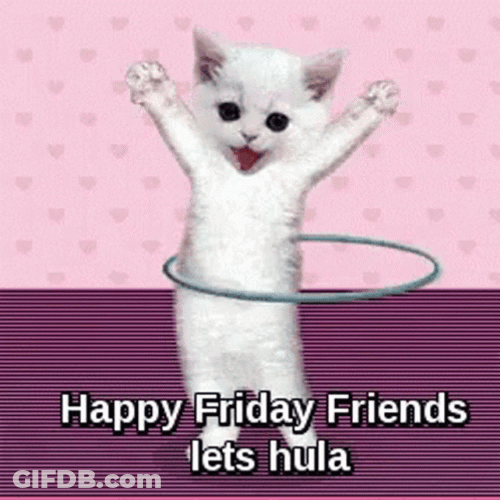 Cat Hula Hooping Happy Friday GIF