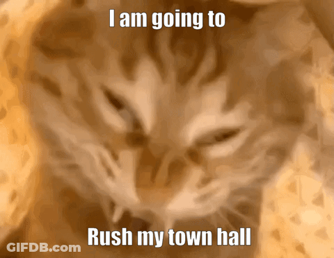 Cat I Am Going To Rush My Town Hall GIF