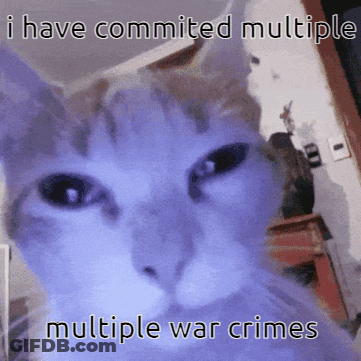 Cat I Have Committed Multiple Multiple War Crimes GIF