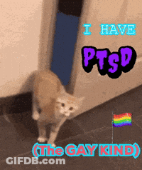 Cat I Have PTSD The Gay Kind GIF
