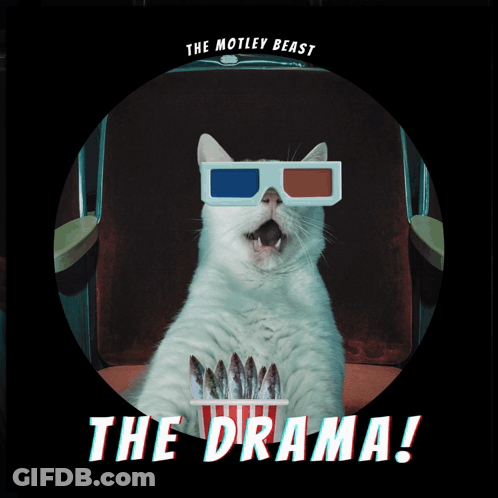 Cat In 3D Glasses Eating Popcorn Motley Beast GIF