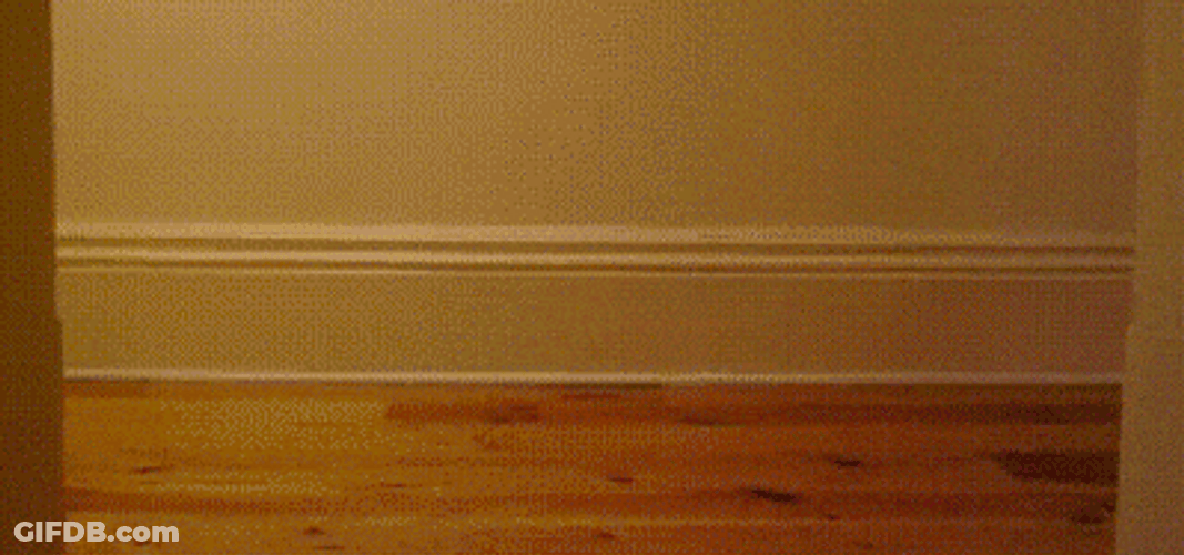 Cat In A Box On A Trolley Byeeee GIF