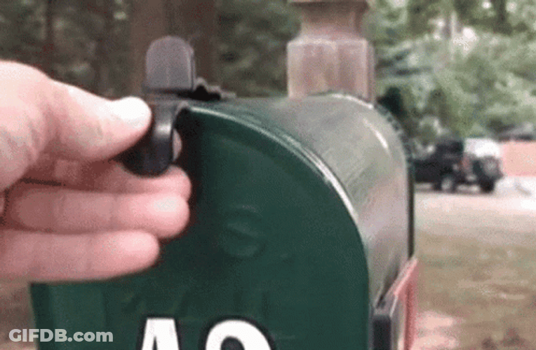 Cat In A Mail Box GIF