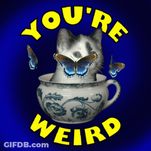 Cat In A Tea Cup You Are Weirdo GIF