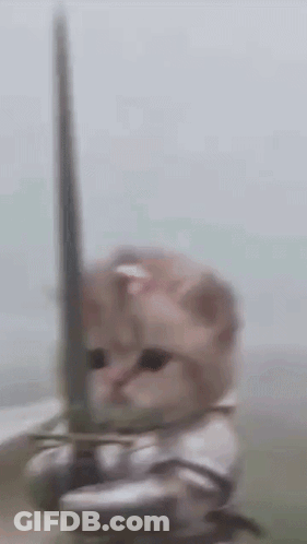 Cat In Armor Holding Sword GIF