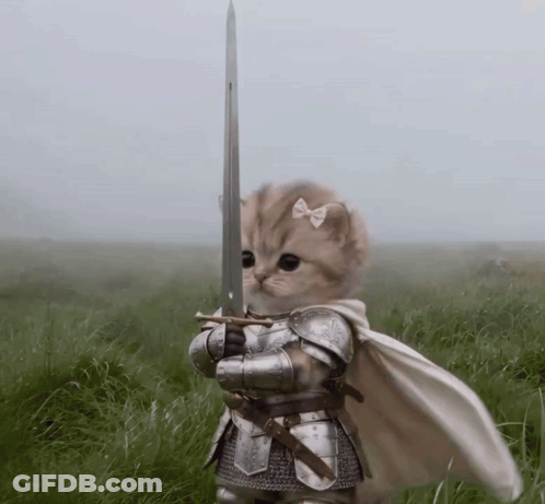 Cat In Armor Holding Sword GIF